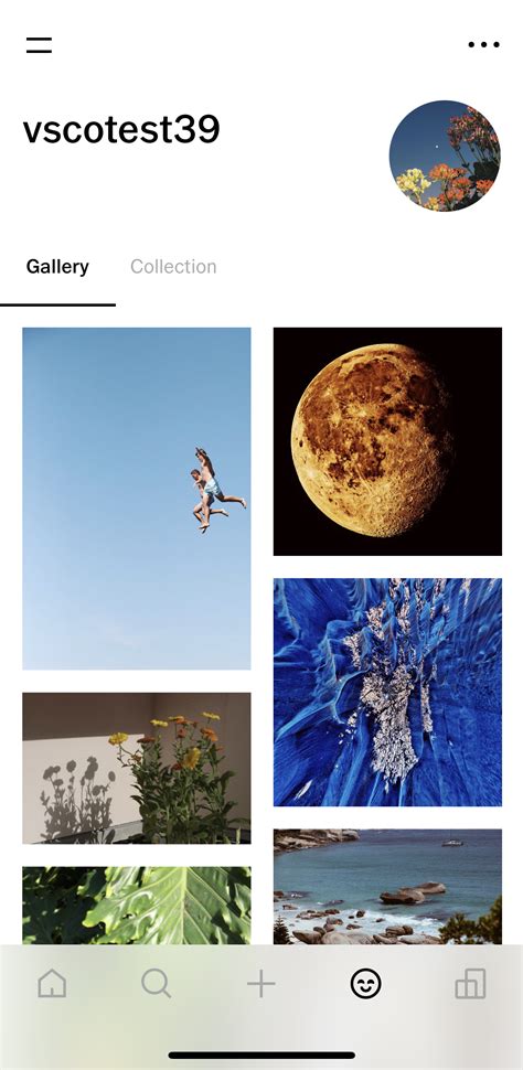 For iOS Foremost, open the VSCO app. . Vsco profile picture downloader